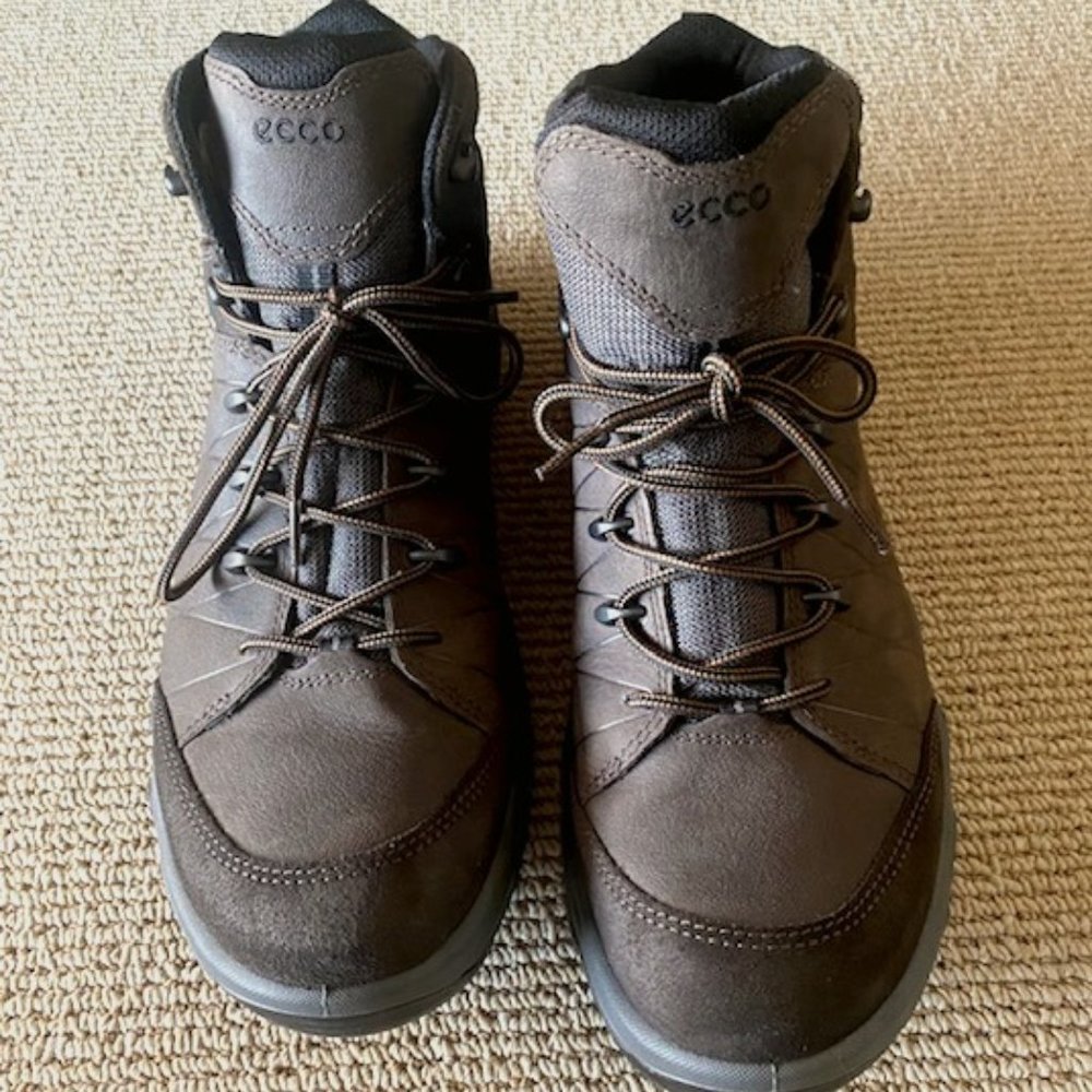 Men's Ecco hiking boots size 12-12.5